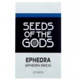seeds of the gods1